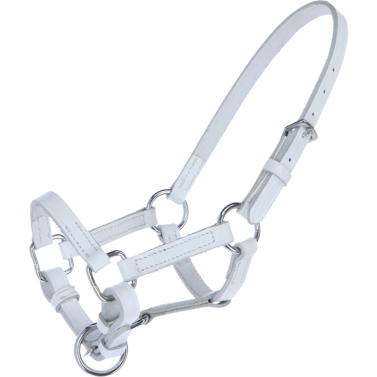 HB Ruitersport Cavezza per puledro Bianco