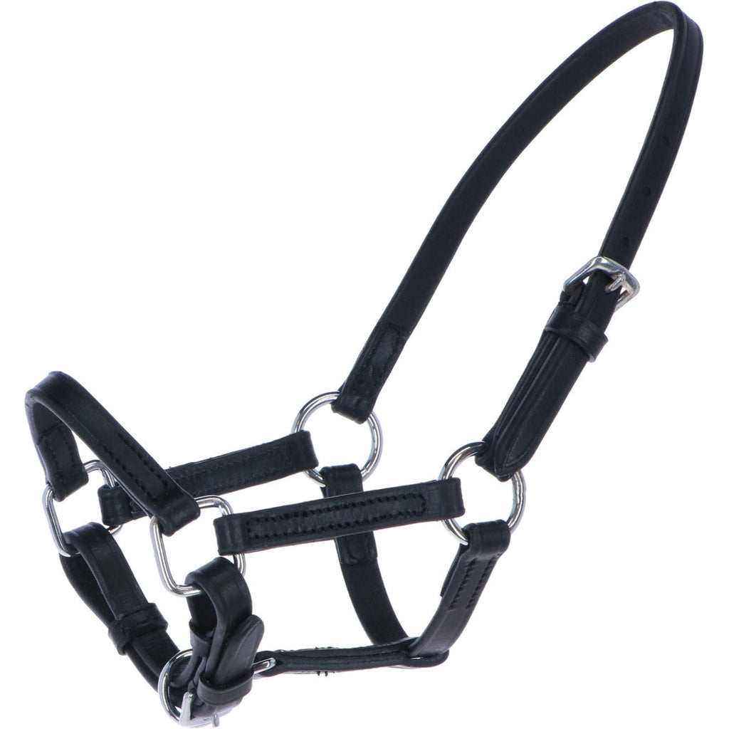 HB Cavezza per puledro Mini Nero