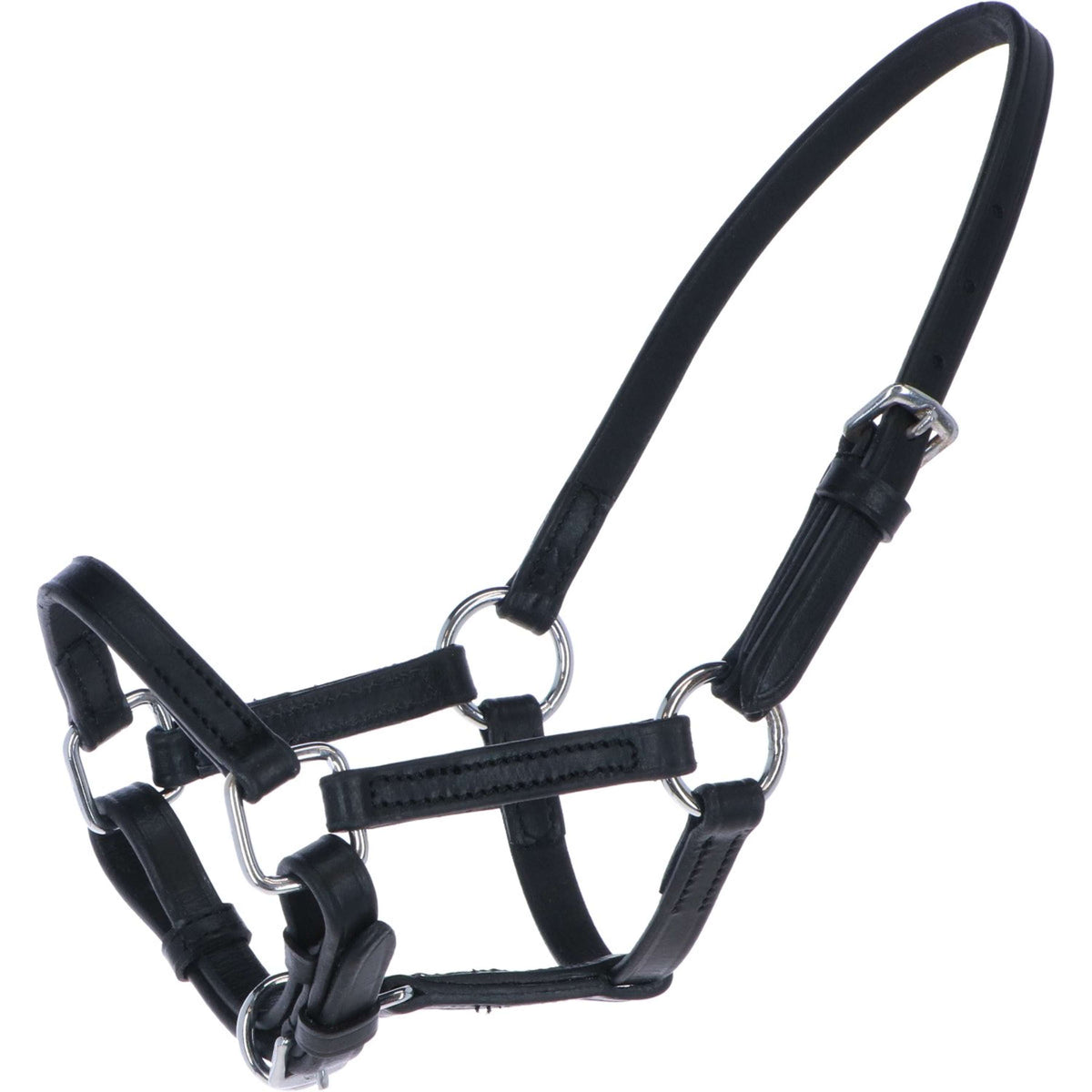 HB Ruitersport Cavezza per puledro Nero