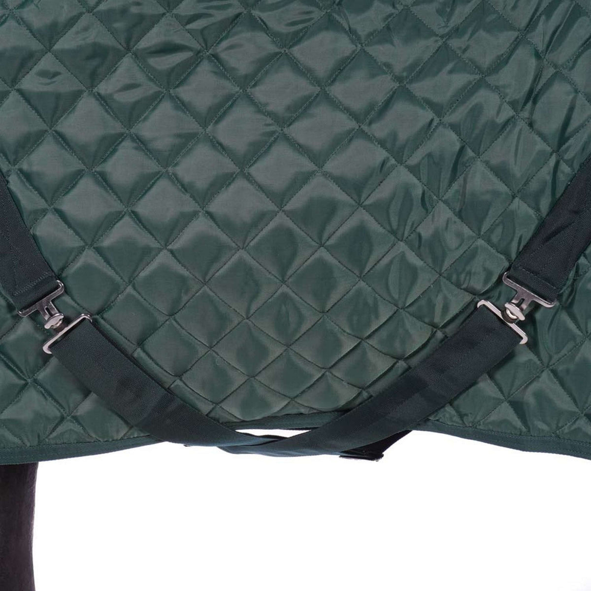 HB Coperta da esposizione Desire160gr Verde foresta