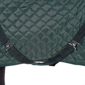 HB Coperta da esposizione Desire160gr Verde foresta