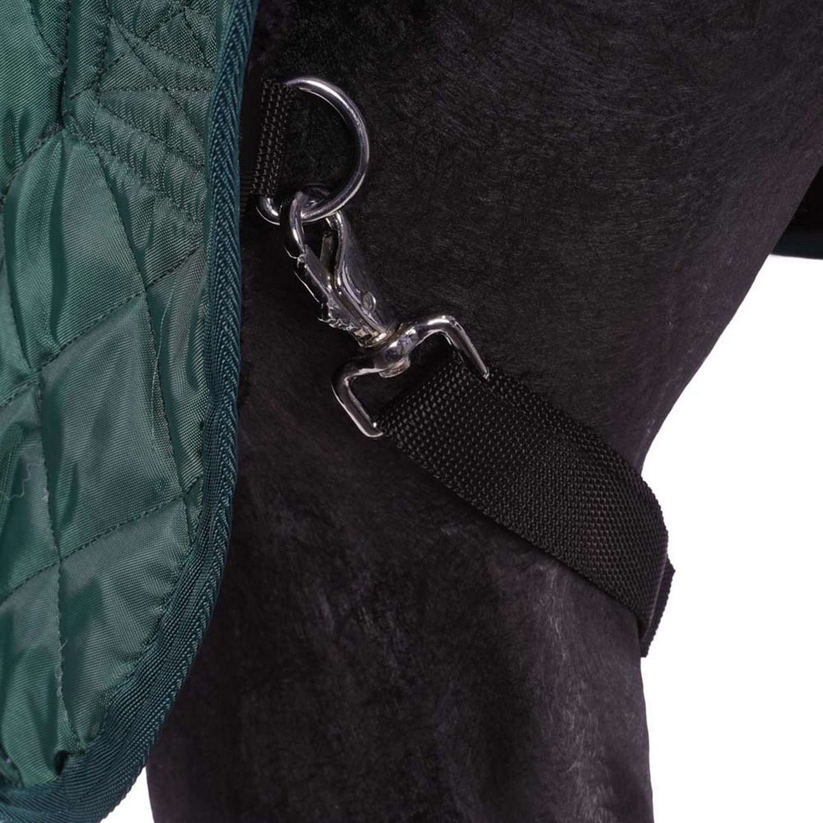 HB Coperta da esposizione Desire160gr Verde foresta