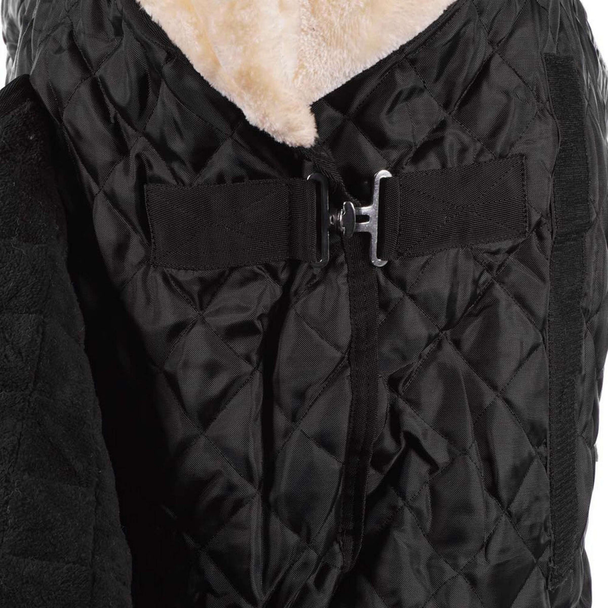 HB Coperta da esposizione Desire160gr Nero