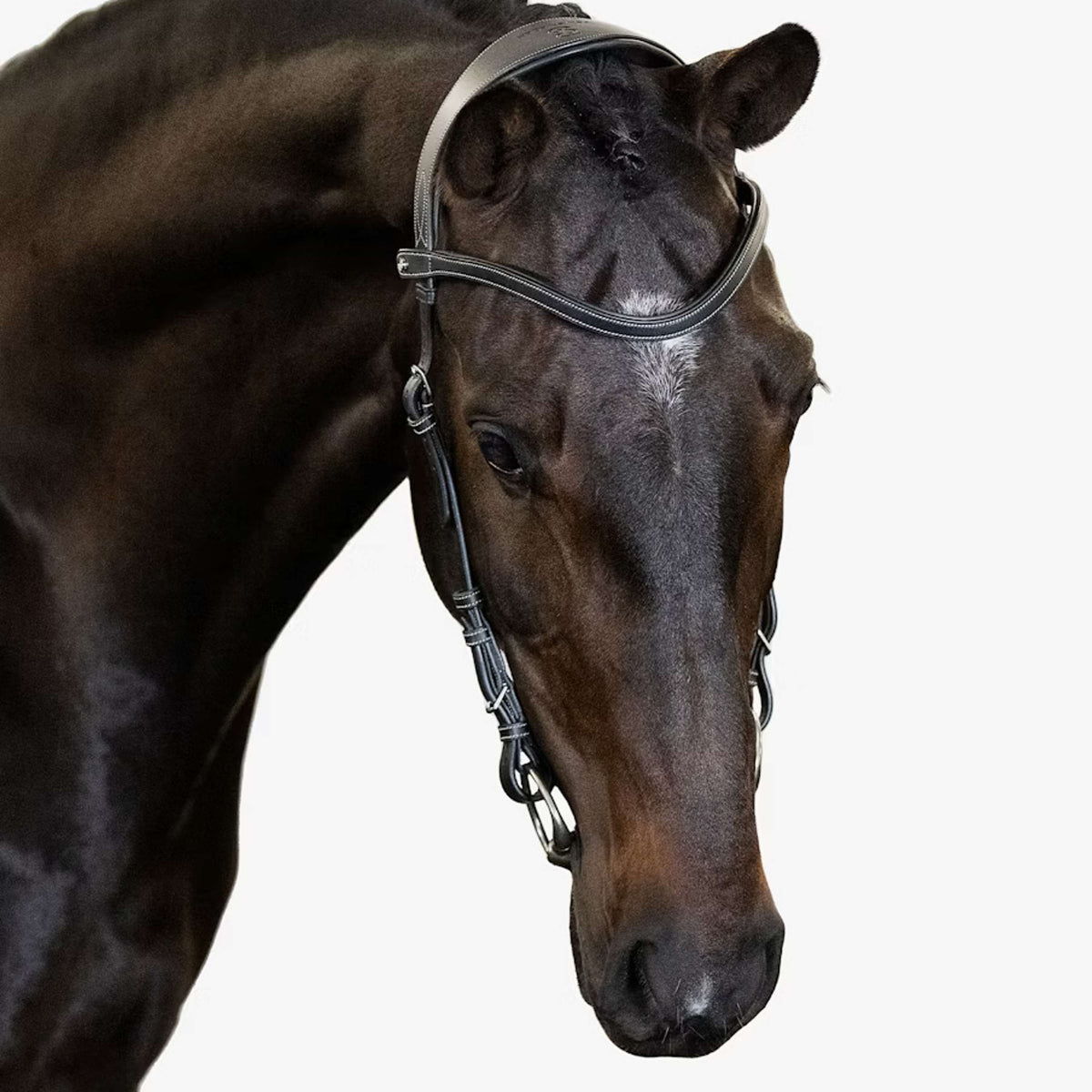 PS of Sweden Briglia Helsinki Nero