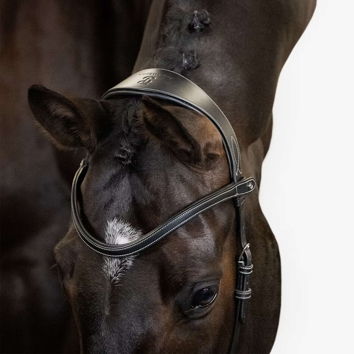 PS of Sweden Briglia Helsinki Nero