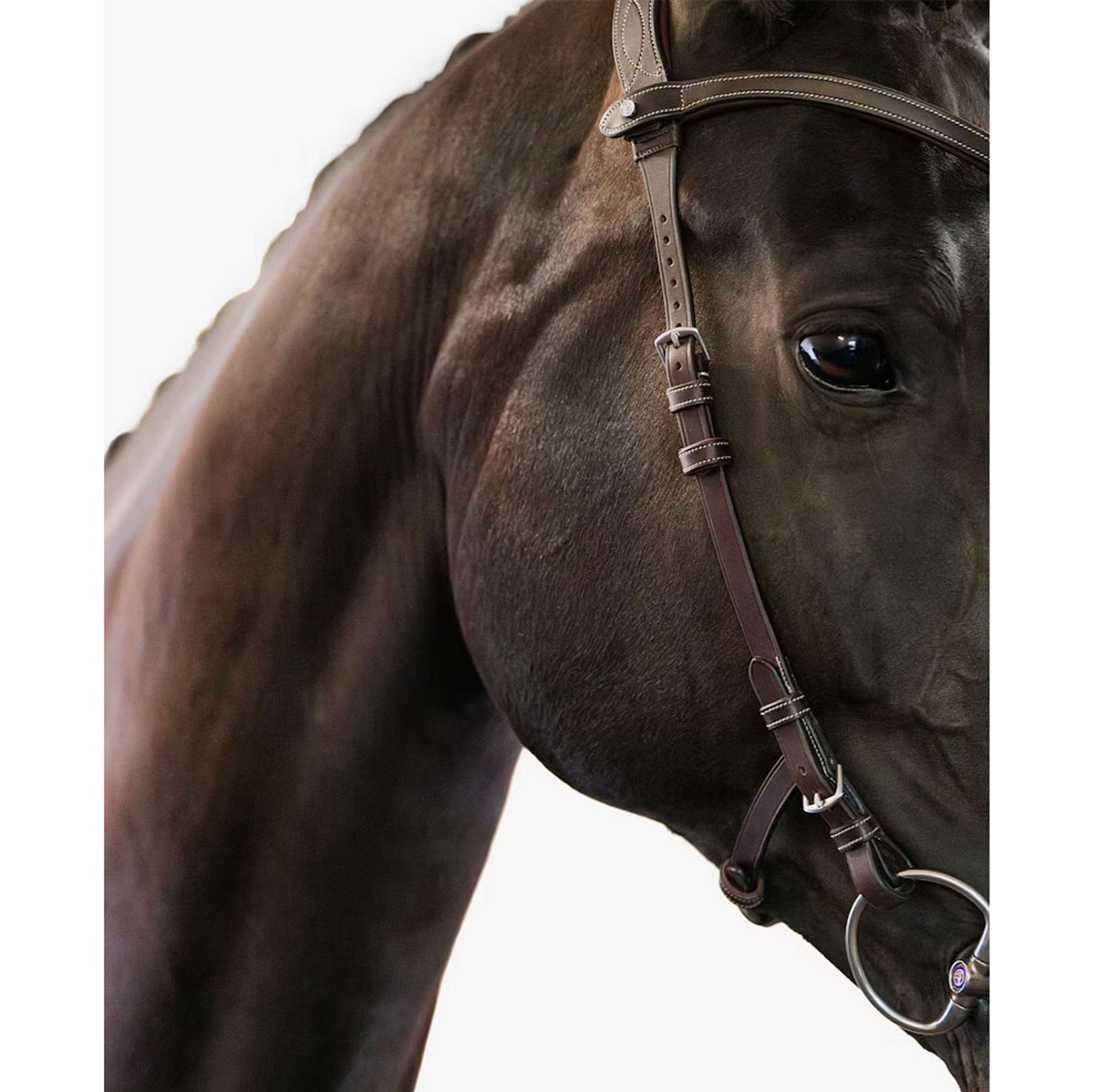 PS of Sweden Briglia Helsinki Marrone