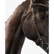 PS of Sweden Briglia Helsinki Marrone