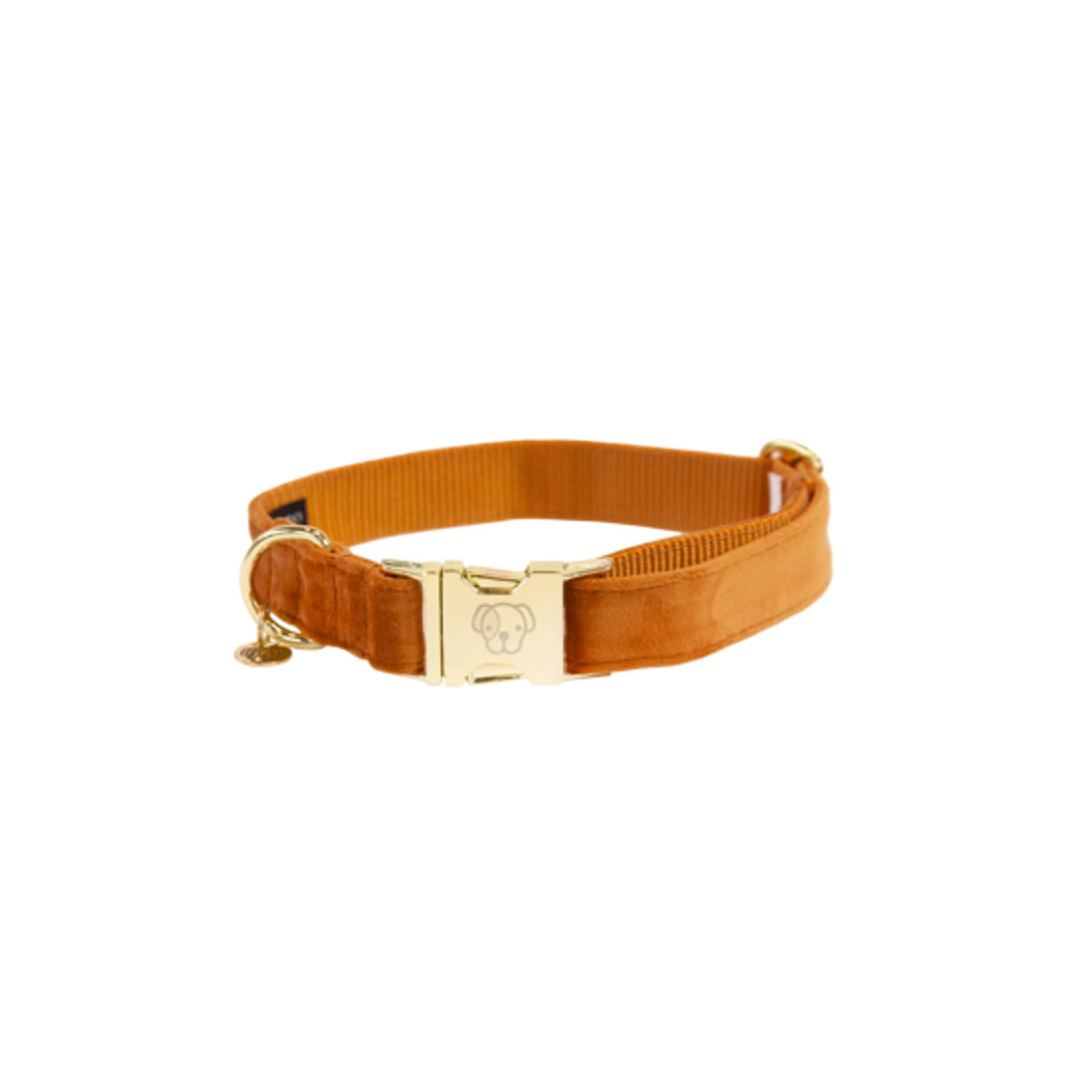 Kentucky Dogwear Halsband Velvet Arancia