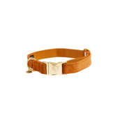 Kentucky Dogwear Halsband Velvet Arancia