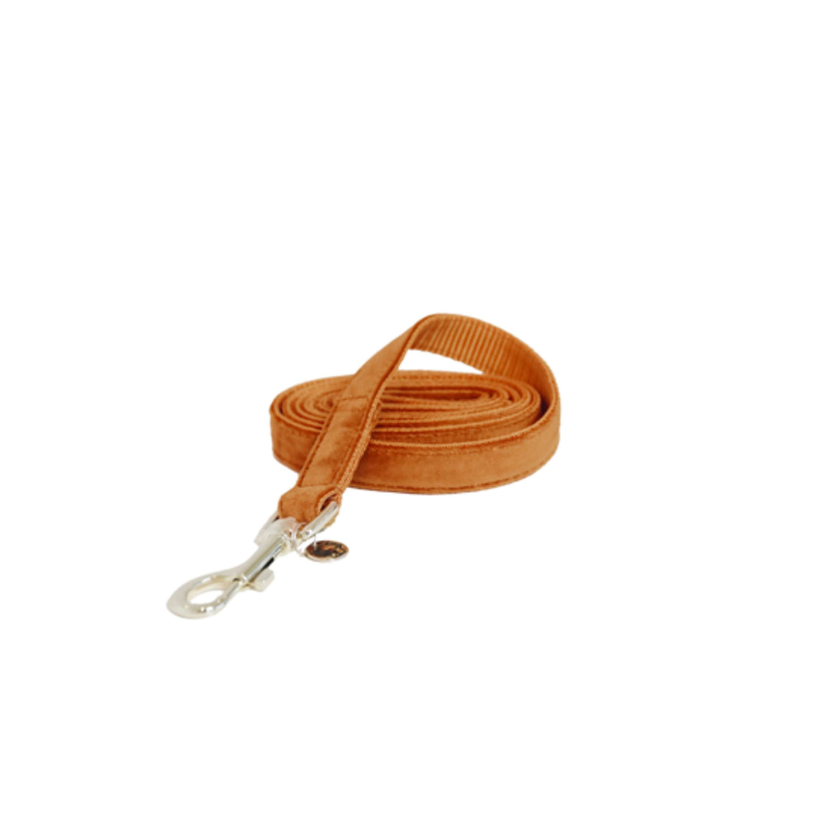 Kentucky Dogwear Guinzaglio per Cane Velvet Arancia
