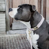 Kentucky Dogwear Guinzaglio per Cane Velvet Soft Rose