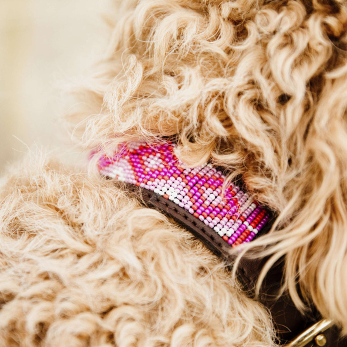 Kentucky Dogwear Halsband Perle Fatte a Mano Rosa