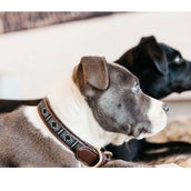 Kentucky Dogwear Halsband Perle Fatte a Mano Argento