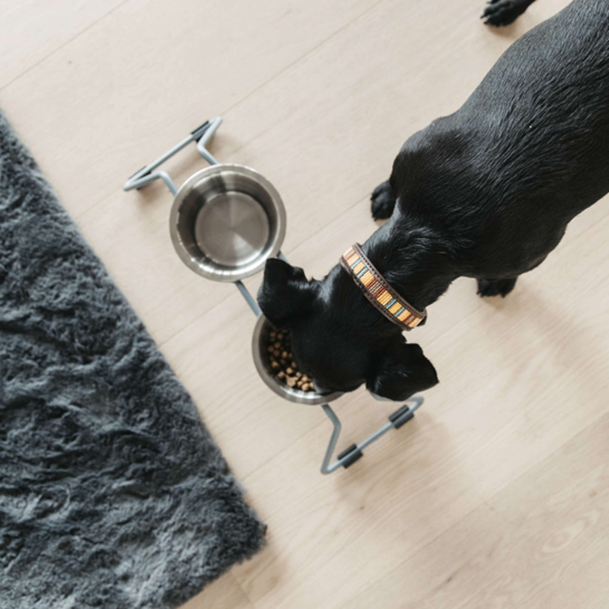 Kentucky Dogwear Halsband Handmade Pearls Pure Orange