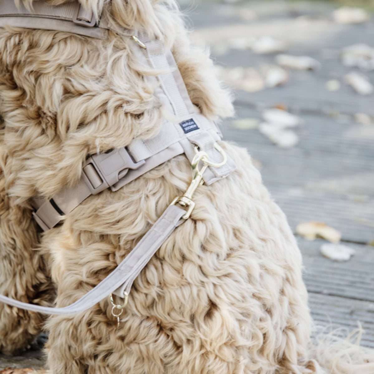 Kentucky Dogwear Guinzaglio per Cane Velvet Beige