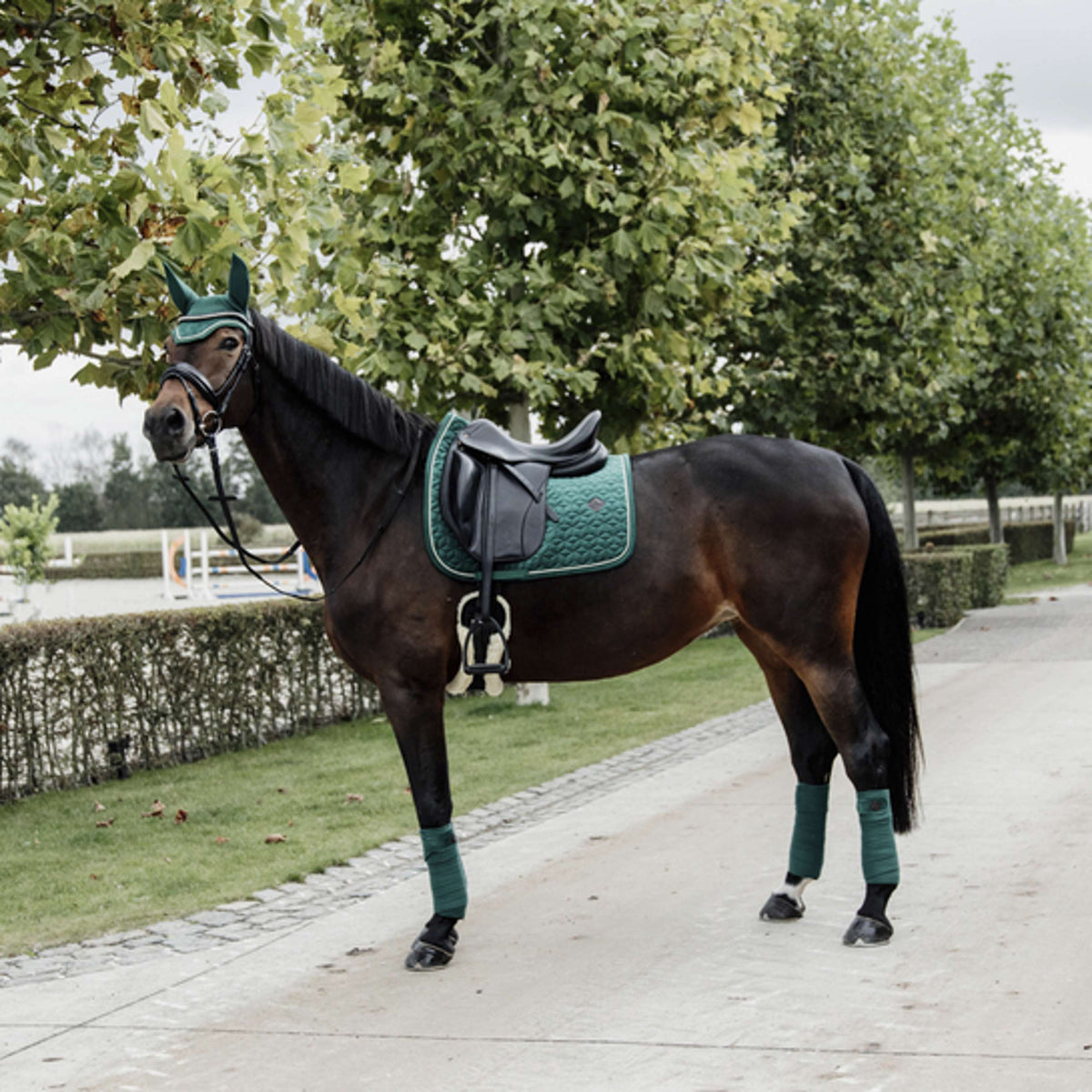 Kentucky Horsewear Sottosella Velvet Pearls Dressage Pine Green
