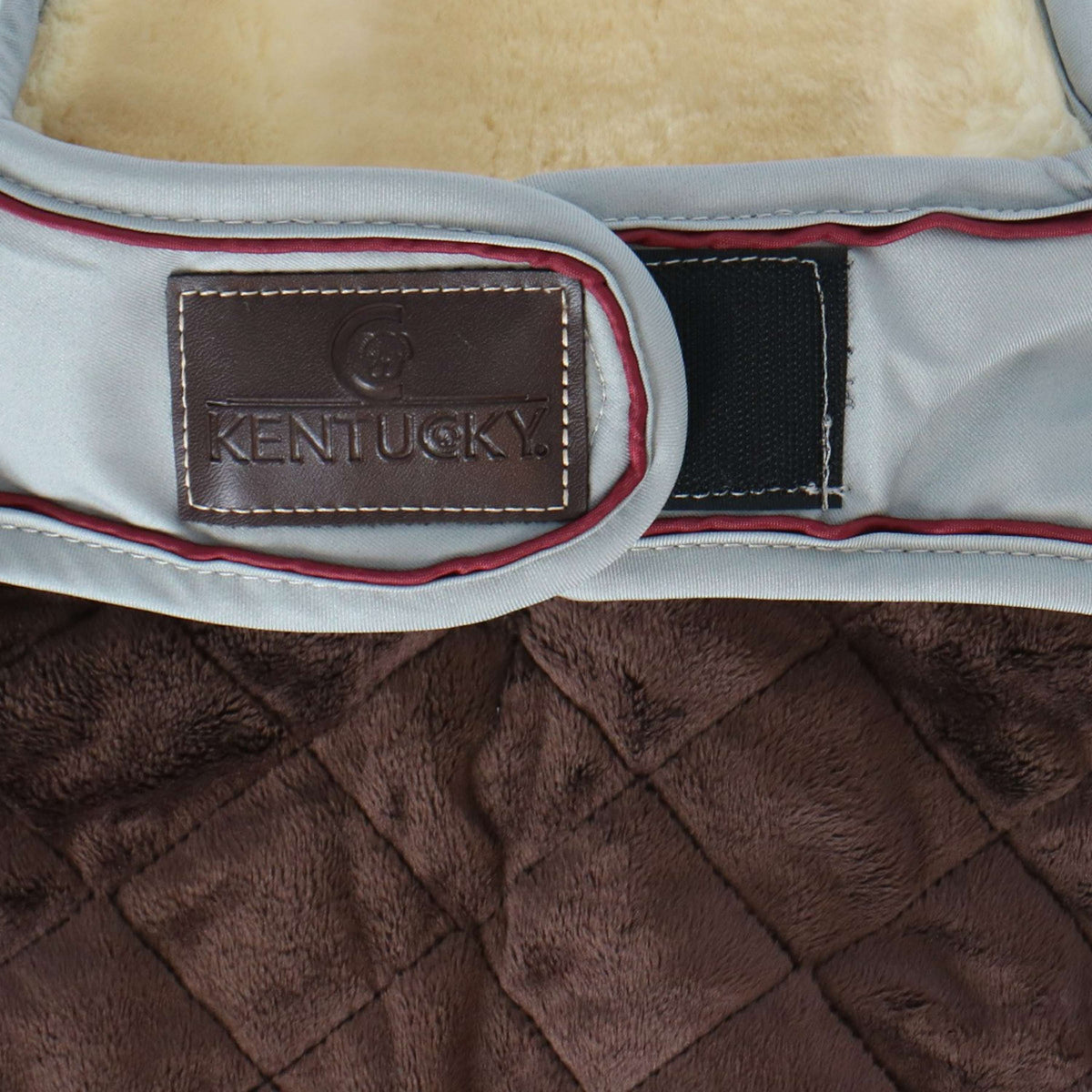 Kentucky Dogwear Cappotto per Cane Waterproof 160 g Dusty Blue