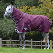Weatherbeeta Coperta Impermeabile Comfitec Plus Dynamic II Detach-A-Neck Lite Marrone/Grigio/Bianco