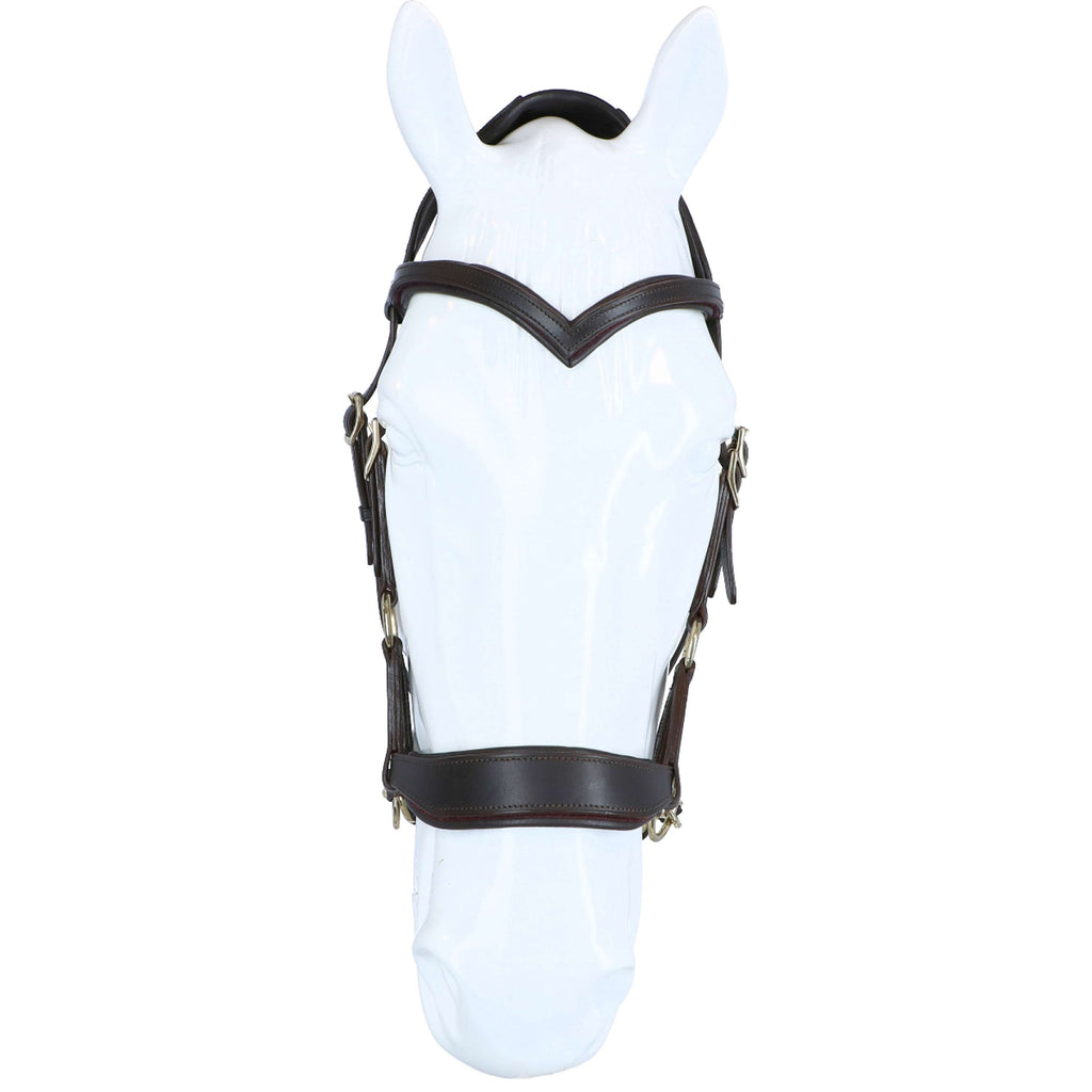 F.R.A. Briglia senza Morso Aruba Side Pull Marrone