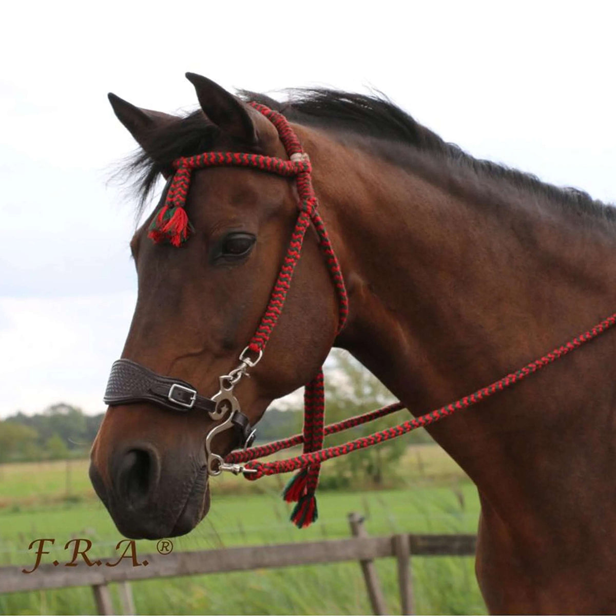 F.R.A. Briglia Classica Bodanza Rosso/Verde