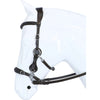 F.R.A. Hackamore Calli L'Avana