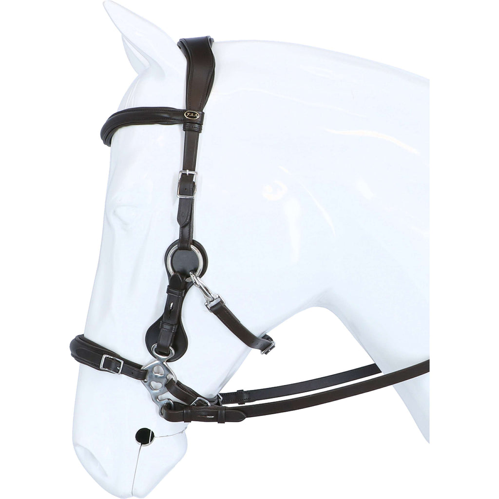 F.R.A. Hackamore Calli L'Avana