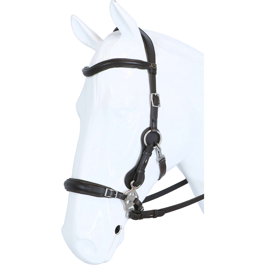 F.R.A. Hackamore Calli L'Avana