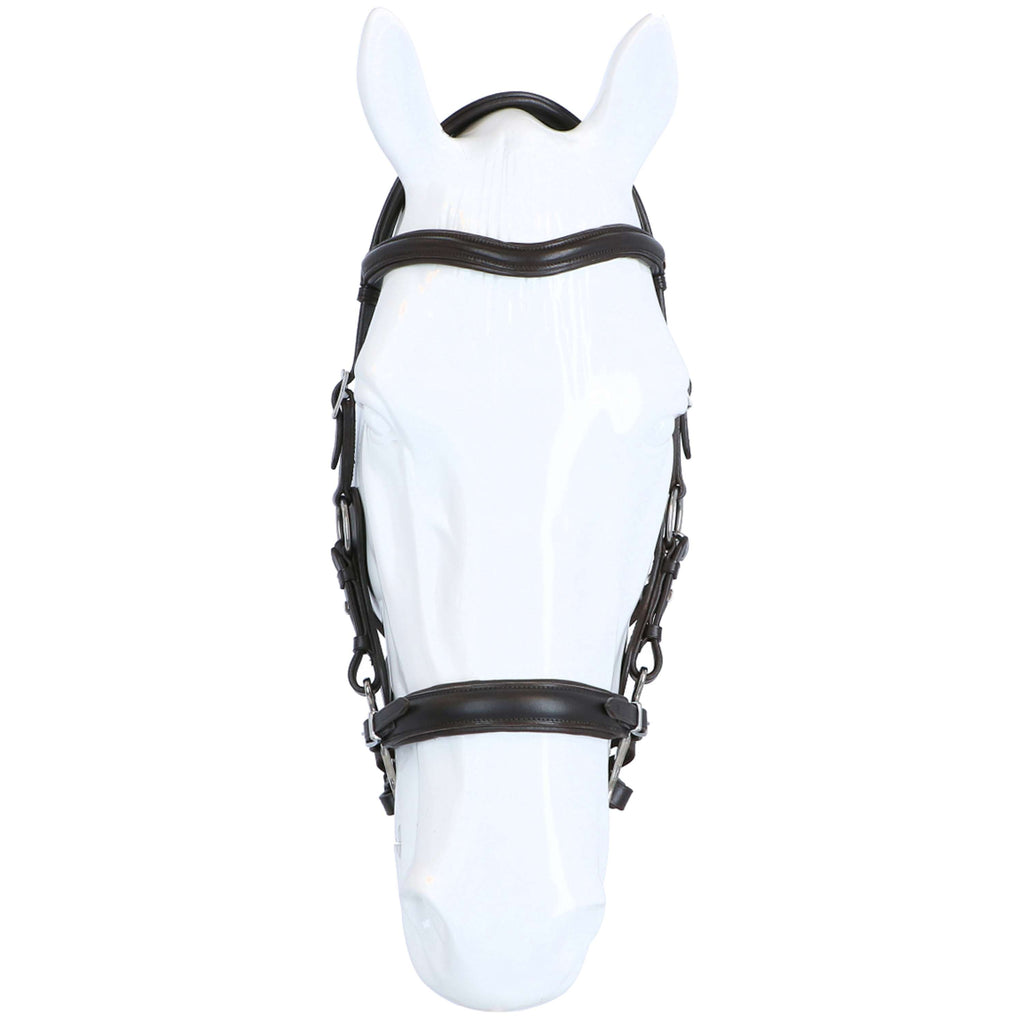 F.R.A. Hackamore Calli L'Avana