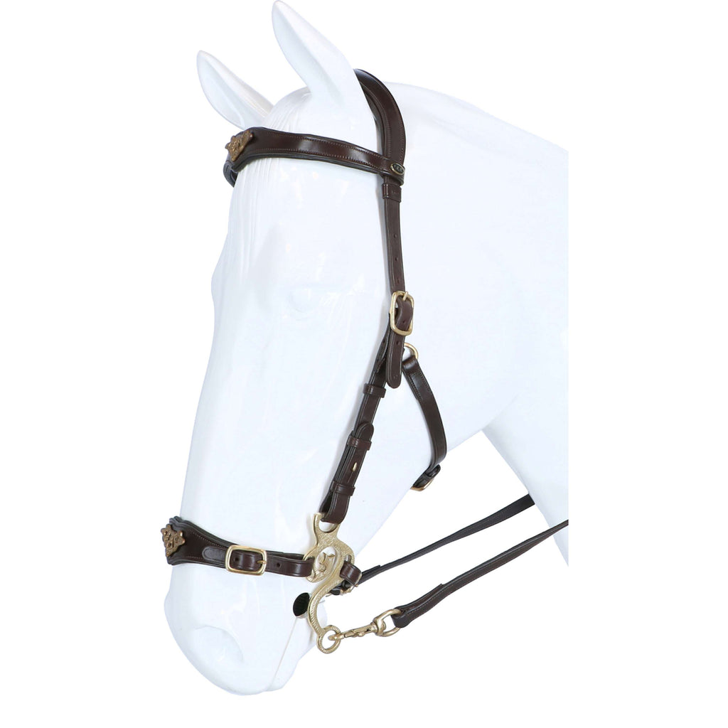 F.R.A. Hackamore Imperial L'Avana