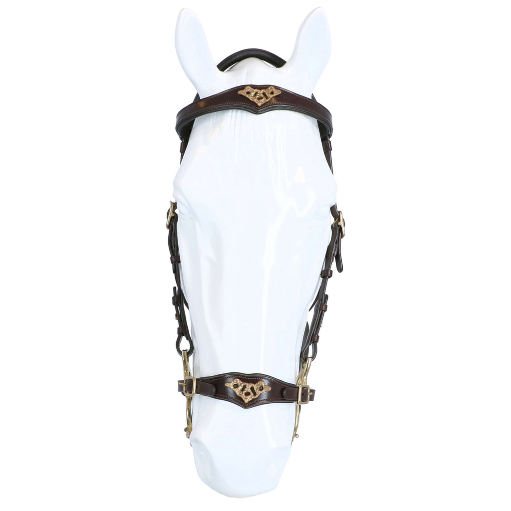 F.R.A. Hackamore Imperial L'Avana