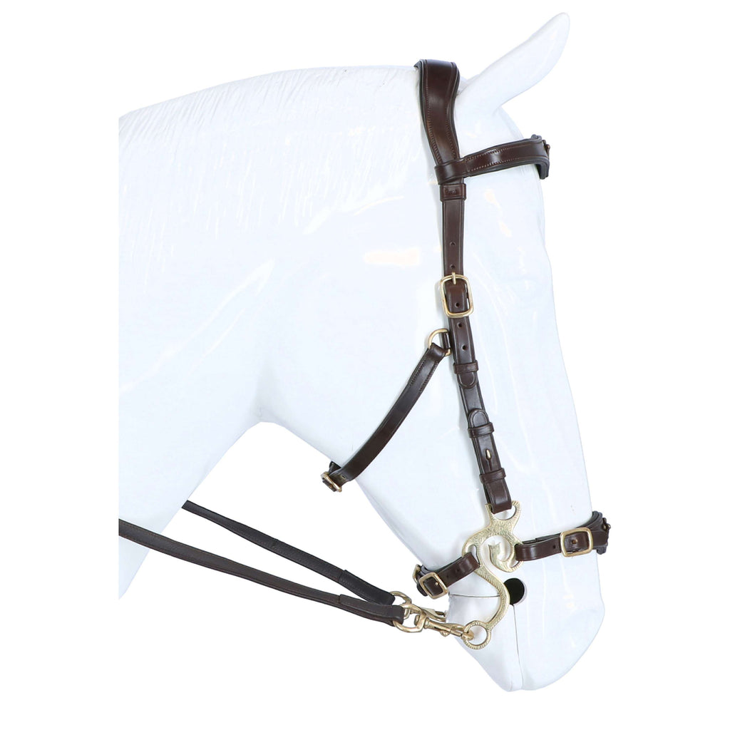 F.R.A. Hackamore Imperial L'Avana