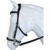 F.R.A. Hackamore Imperial Nero