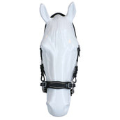 F.R.A. Hackamore Miranti Nero