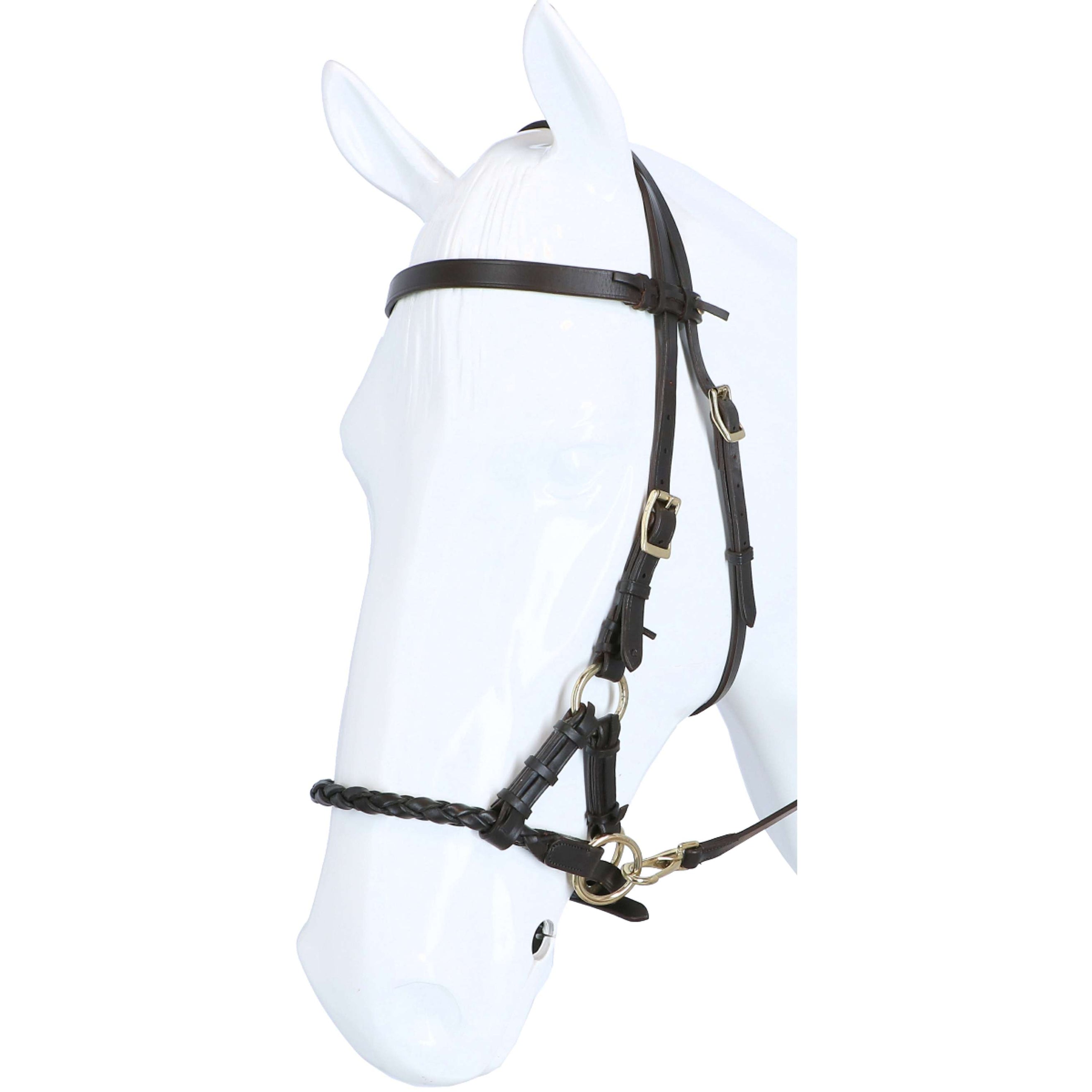 F.R.A. Briglia senza Morso Pariba Side Pull Metallo marrone/ottone F.R.A. Briglia senza Morso Pariba Side Pull Metallo marrone/ottone