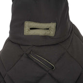 Catago Coperta per Cani Fir-Tech Trainer Grape Leaf