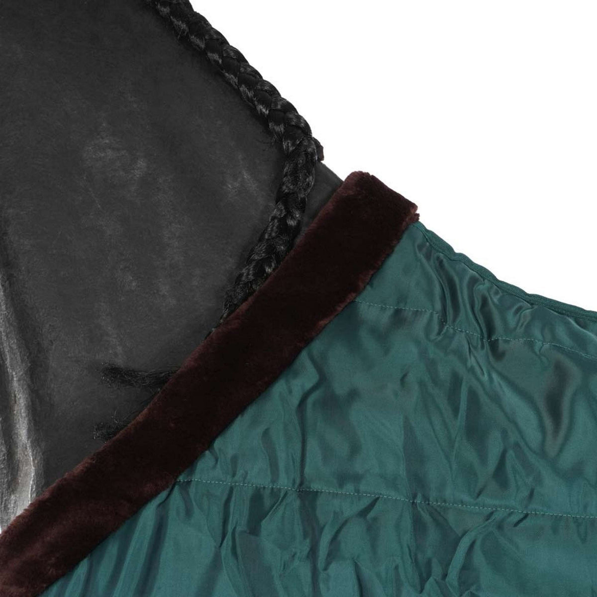 EQUITHÈME Coperta da scuderia Teddy Verde/Marrone