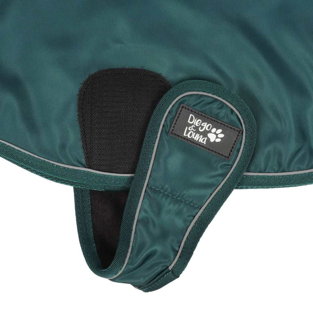 Diego & Louna Coperta per Cani Nylon Verde