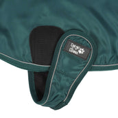 Diego & Louna Coperta per Cani Nylon Verde