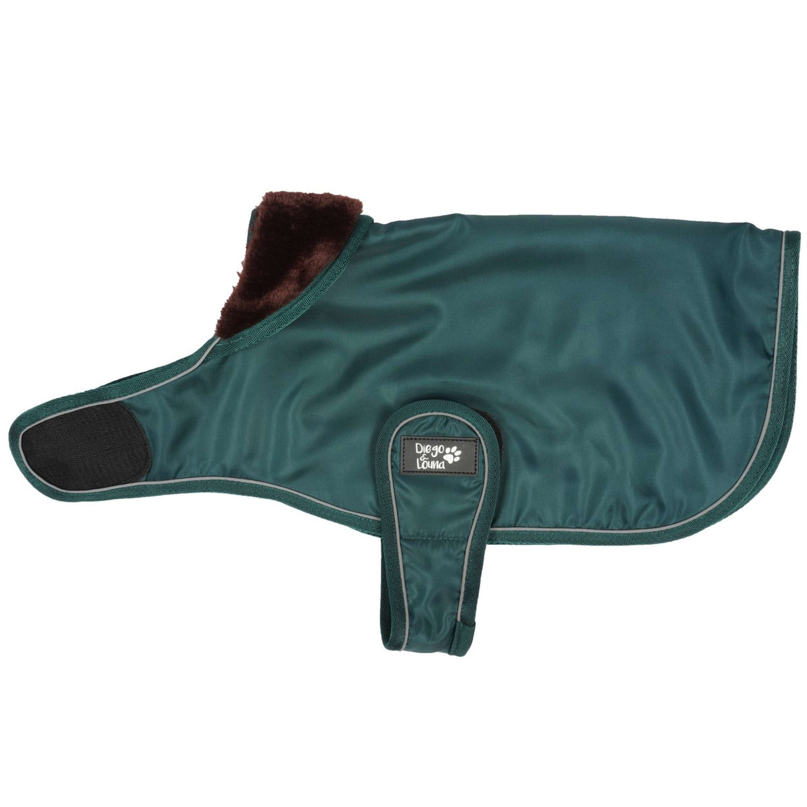 Diego & Louna Coperta per Cani Nylon Verde