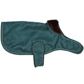 Diego & Louna Coperta per Cani Nylon Verde