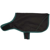 Diego & Louna Coperta per Cani Nylon Verde