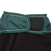 Diego & Louna Coperta per Cani Nylon Verde