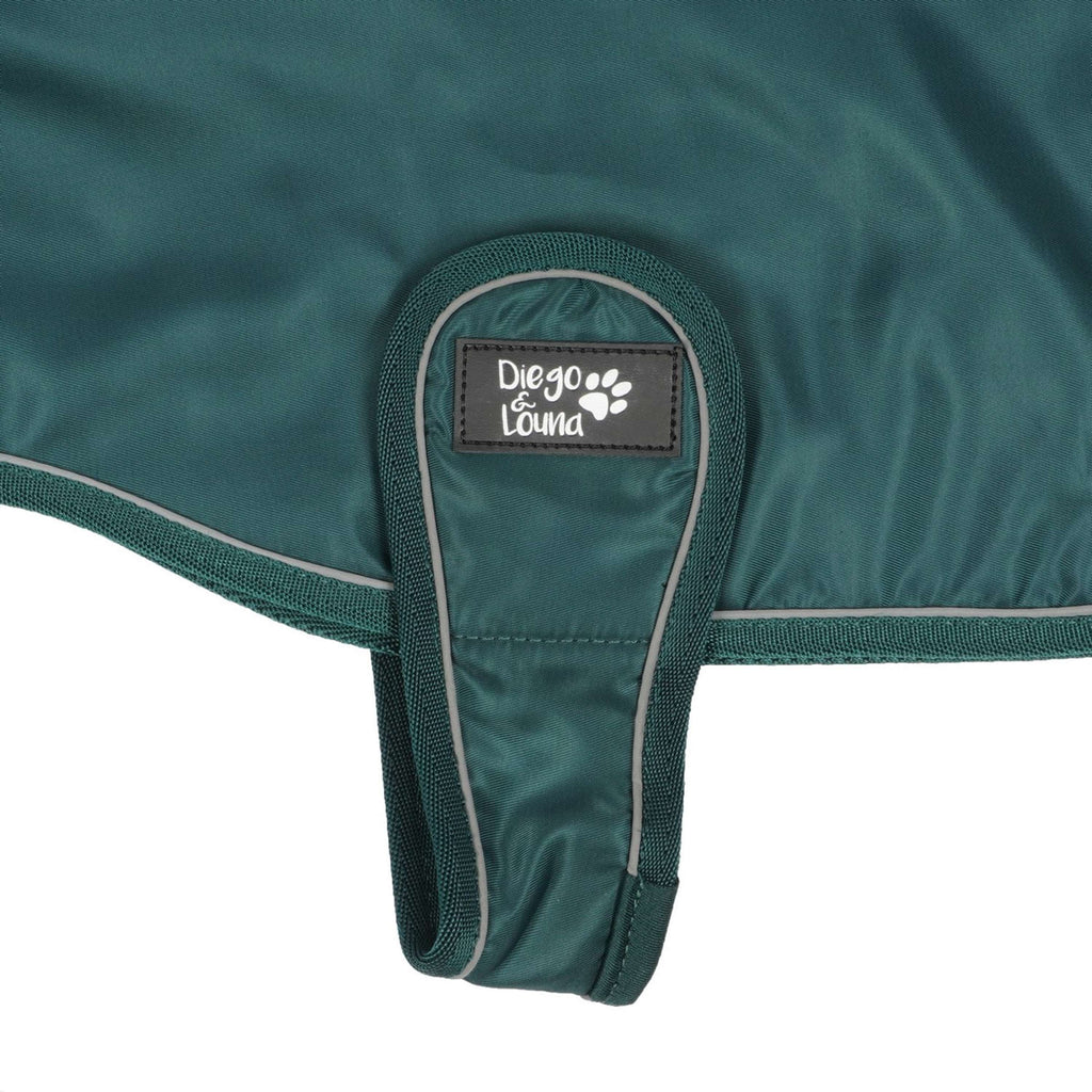 Diego & Louna Coperta per Cani Nylon Verde