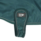 Diego & Louna Coperta per Cani Nylon Verde
