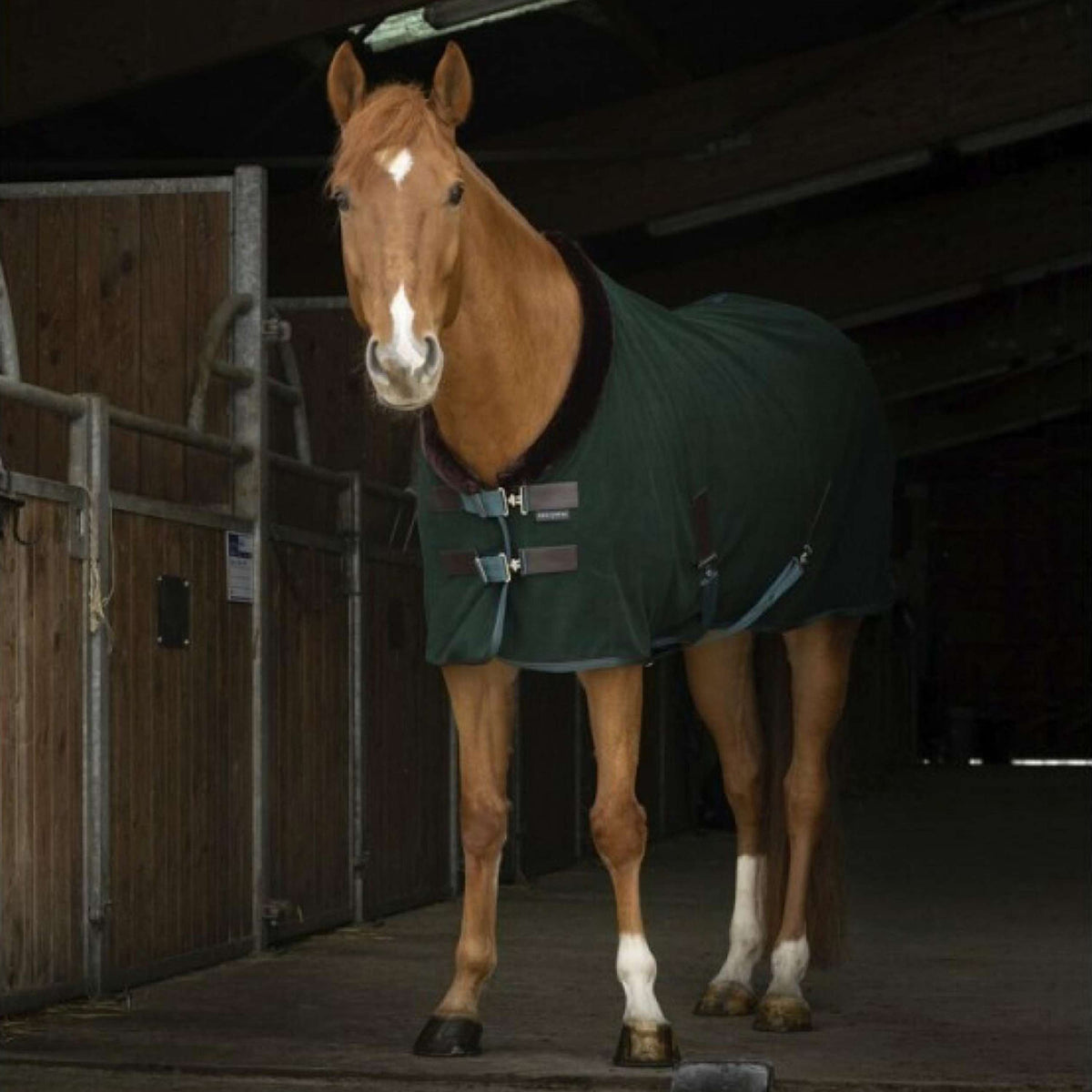 EQUITHÈME Coperta in Pile Teddy Verde/Marrone
