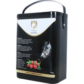 Excellent Rosa Canina Herbs