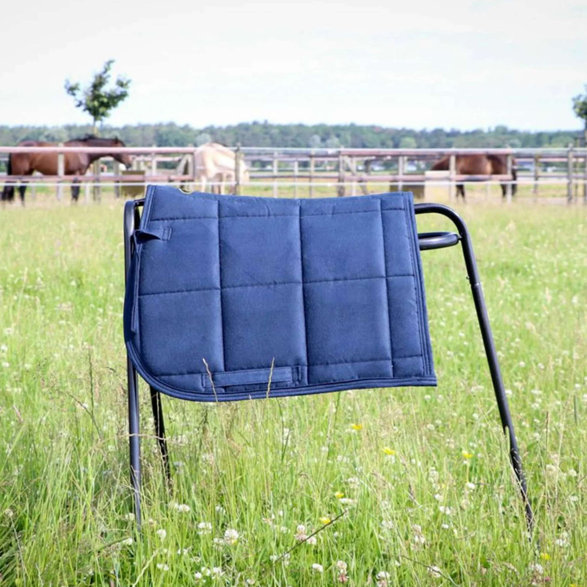 HB Sottosella Shetland Navy