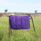 HB Sottosella Shetland Viola