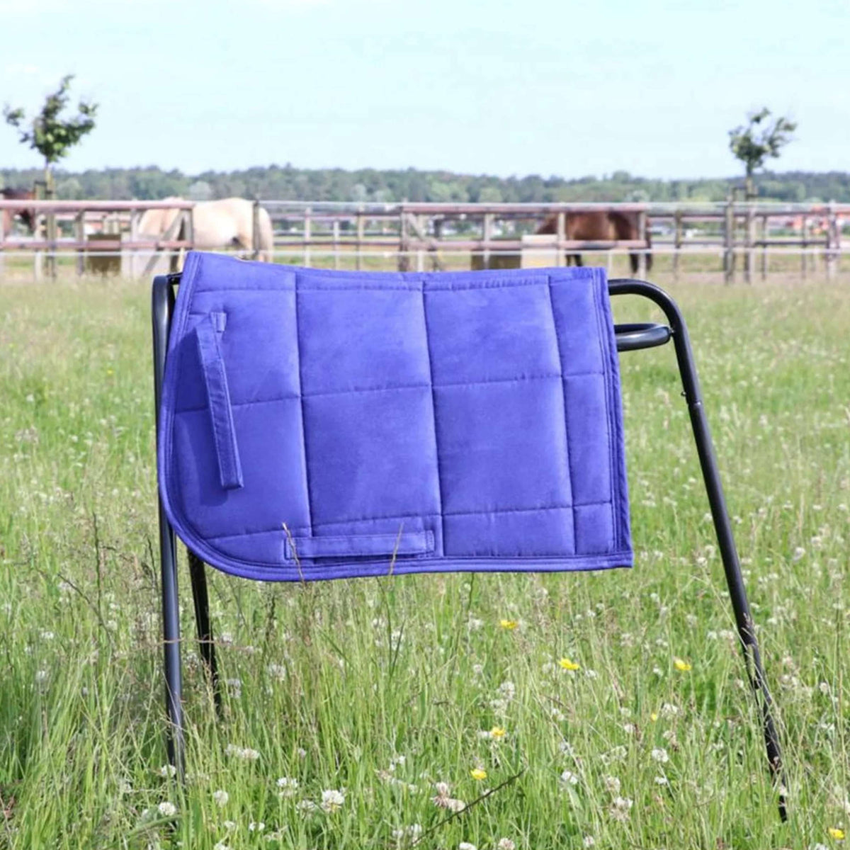 HB Sottosella Shetland Royal Blue