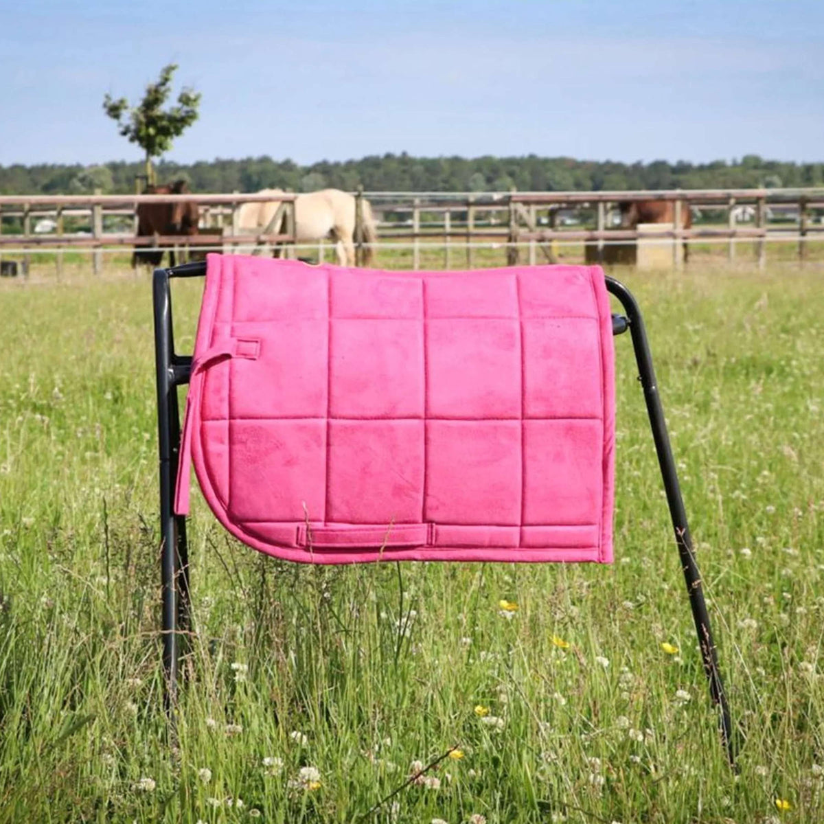 HB Sottosella Shetland Rosa